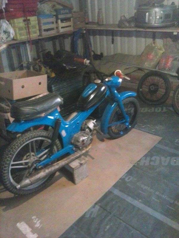 10570475_307674956079402_9188607430542453681_n