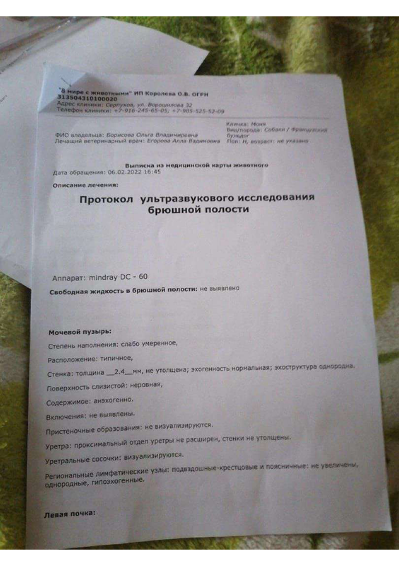 узи 2 — Postimages