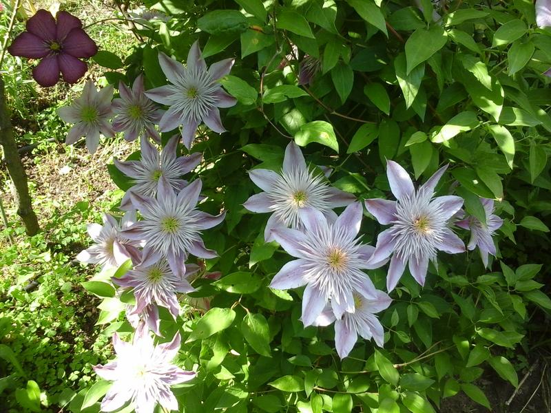 20190527_151853