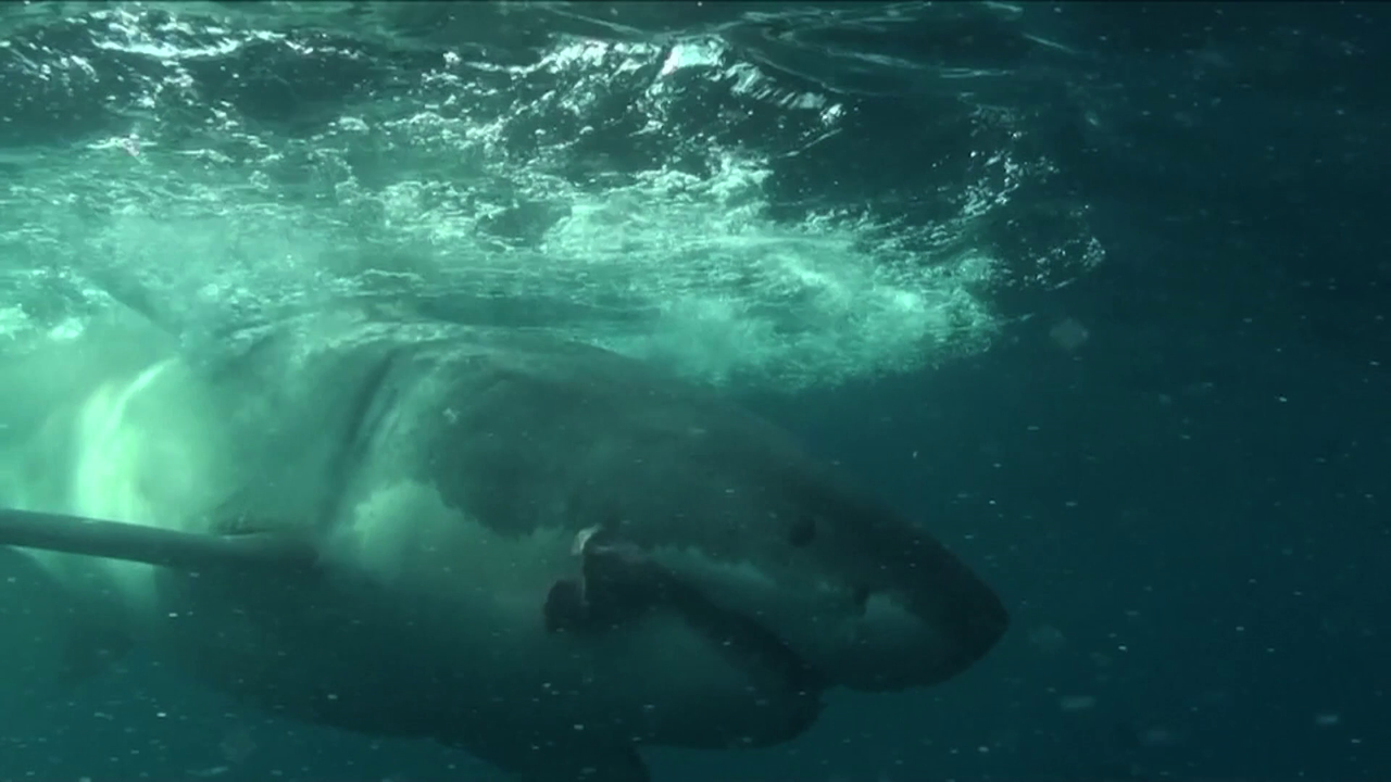 vlcsnap-2023-02-08-19h23m45s536