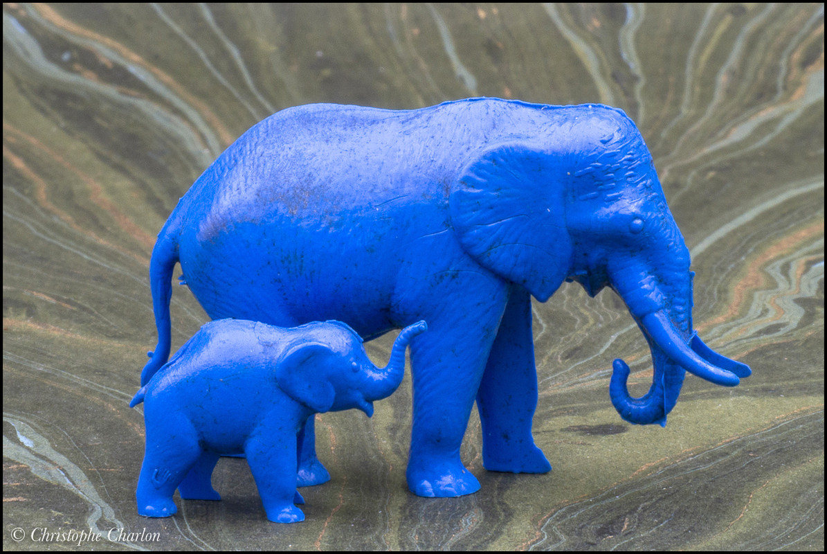 Back in CCCP: A blue savannah and other rubber animals CCCP-Elephant-5