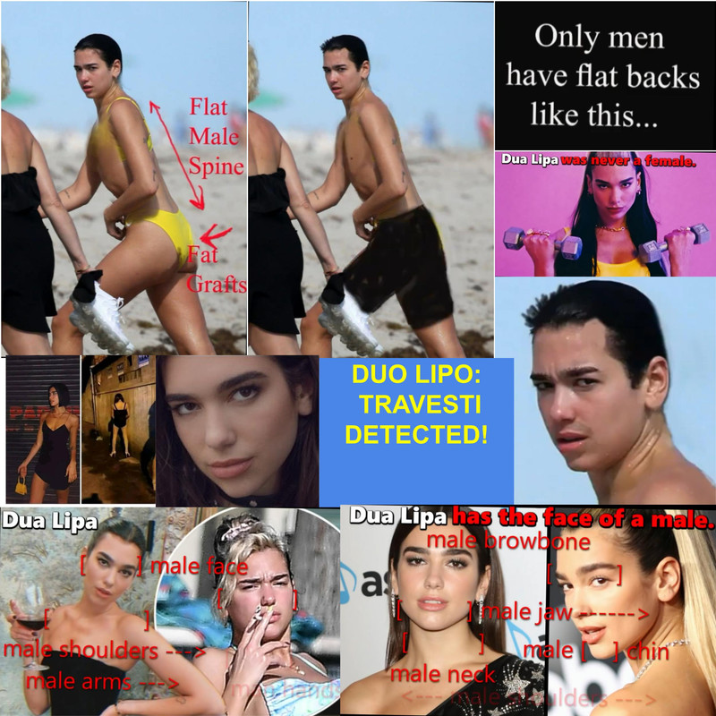 dua-lipa-duo-lipo-travesti-detected-23564563.jpg