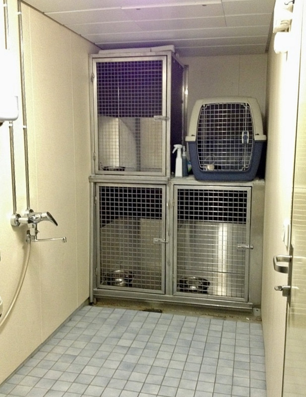 6B139311-CF87-45C2-A8BC-A4553027AD78