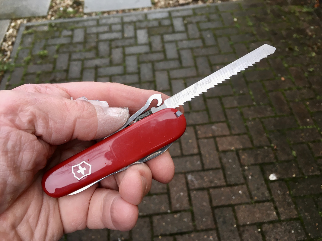 9A271C1F-D065-42E4-89FE-03CA3CD24C92