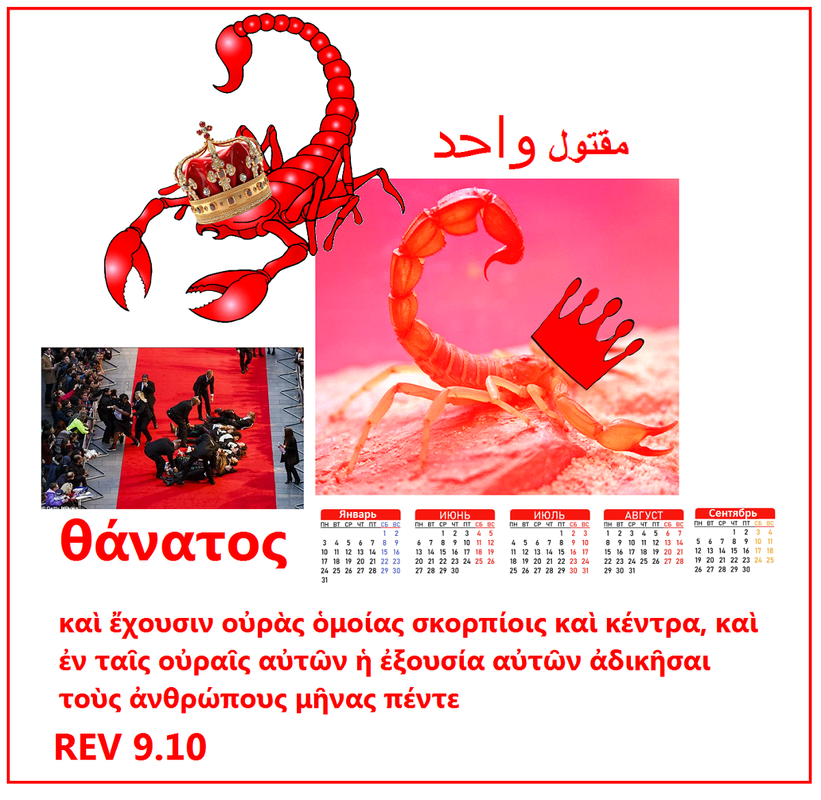 https://i.postimg.cc/Z51XhFYq/614.png