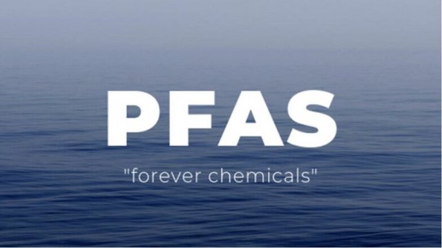 pfas-782x440-1.jpg