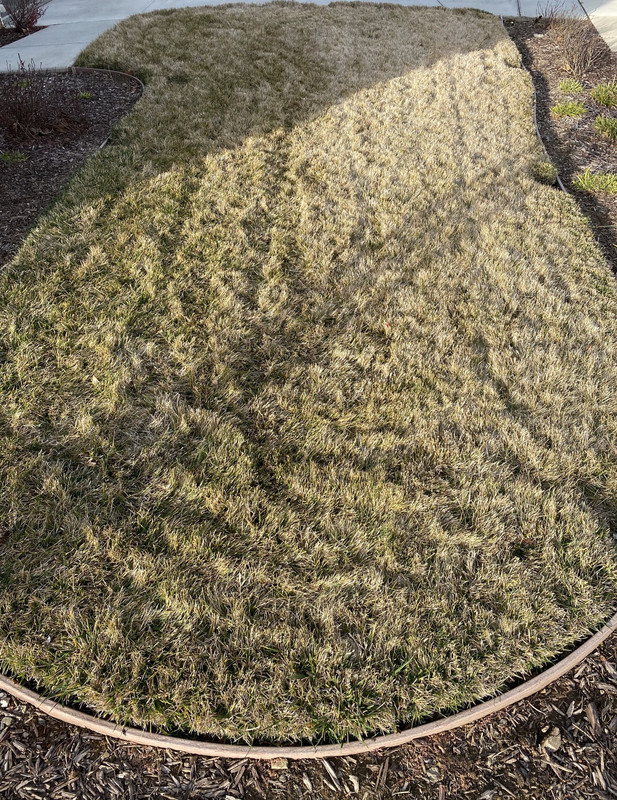 1D9CA9A8-D5A5-45D4-9848-54327FB98E55