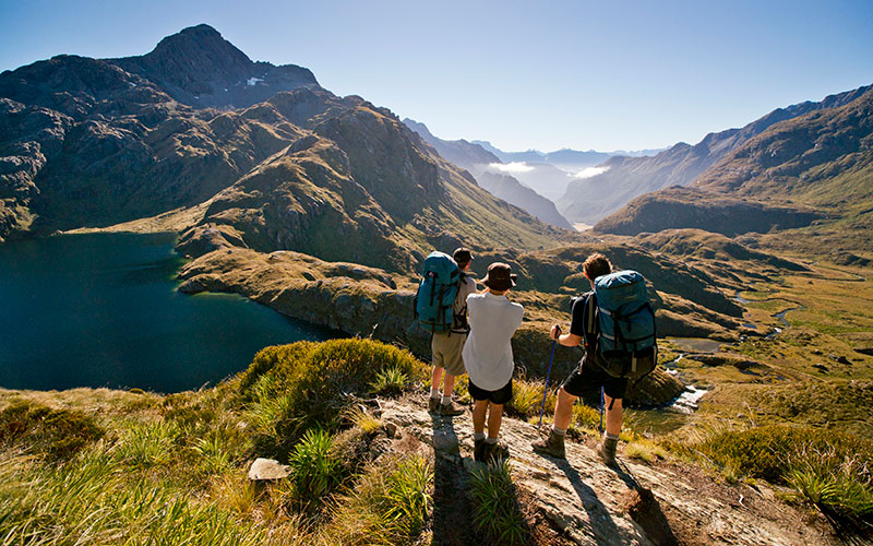 New Zealand for My Adventure