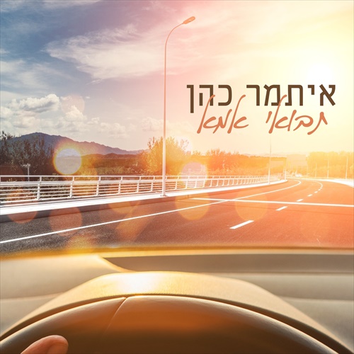 תמונה