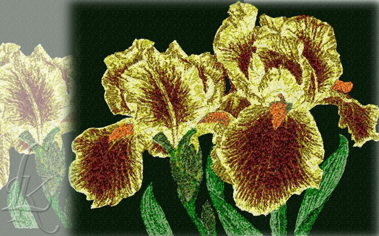 Желтый ирис