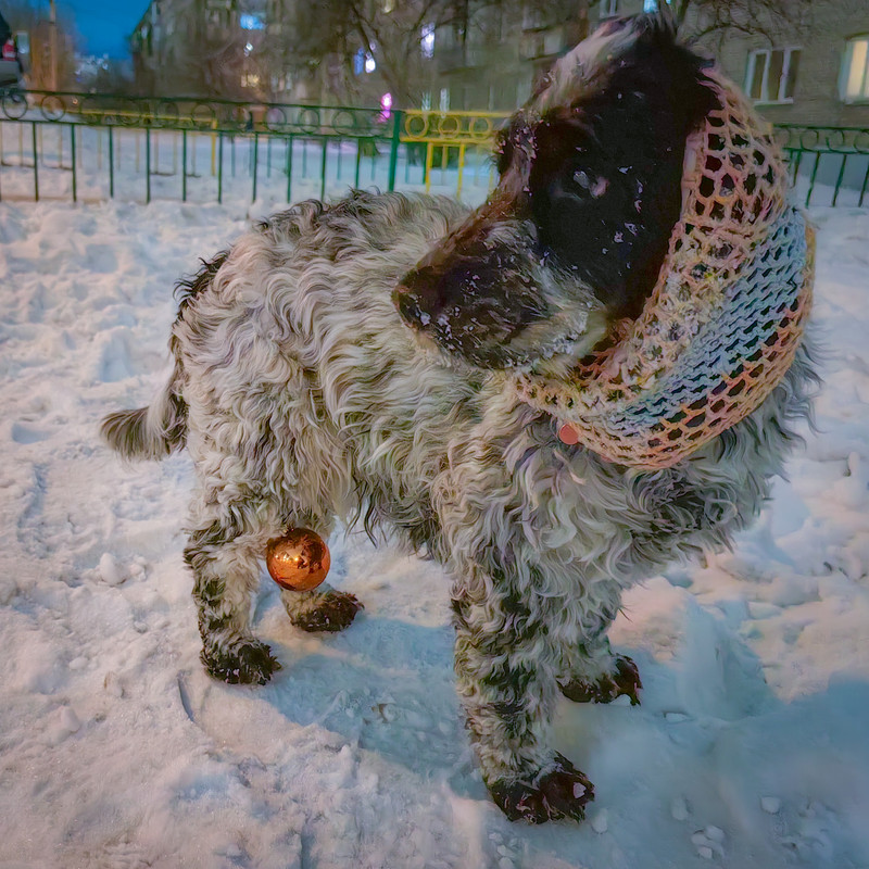 IMG_20231228_210951 (1)