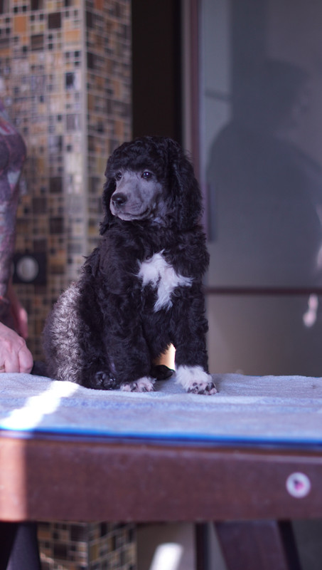 22E209F6-B8B8-4701-87F5-EDB921969976