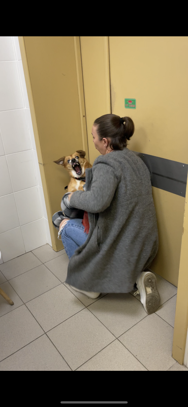 0F6B7162-E54A-495F-97DB-E2F0D045440F