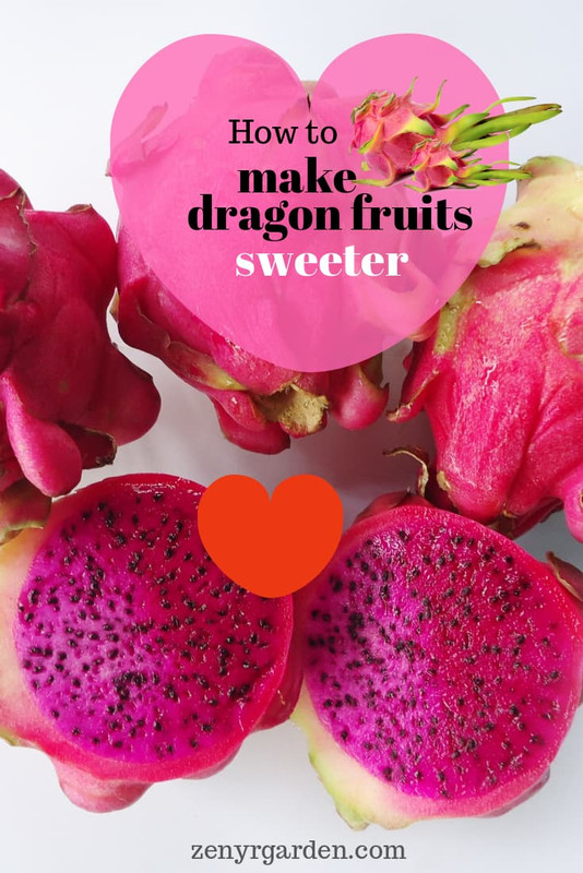 how-to-make-dragon-fruits-sweeter-pin.jpg