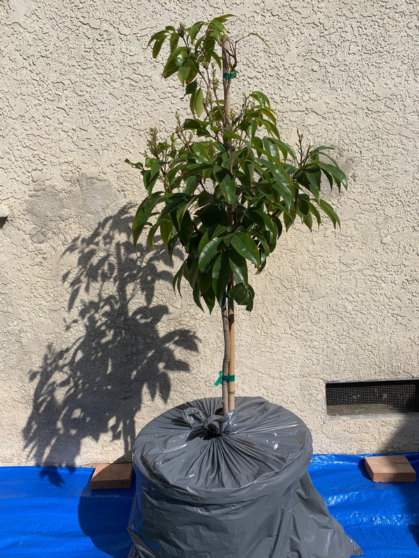 2019-3-5 (1)