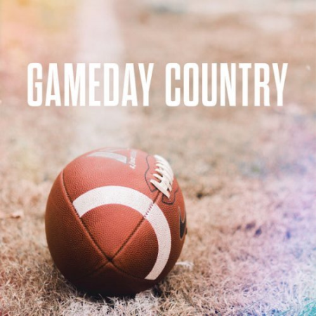 VA - Gameday Country (2019)