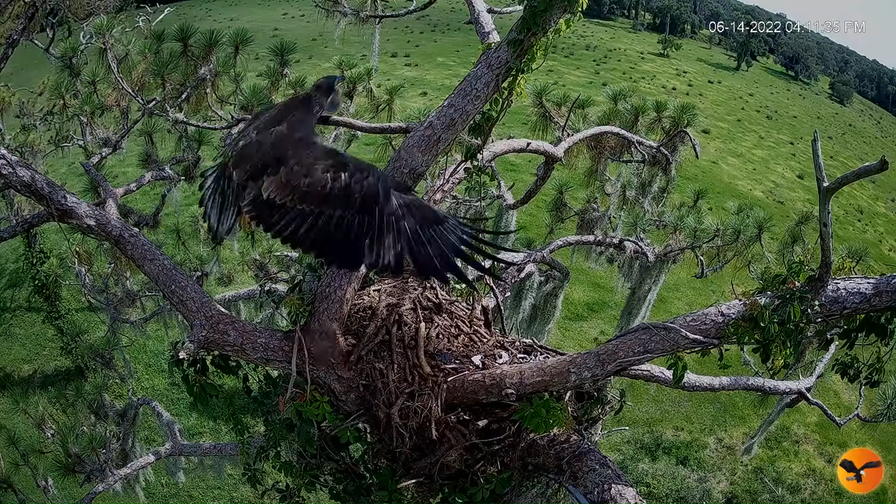 EC 4K Overhead Cam 2-45-16 screenshot