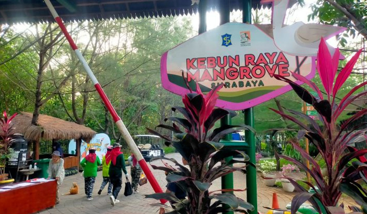 Koleksi 74 Jenis Mangrove, Kebun Raya Surabaya Rayakan Usia Dua Tahun