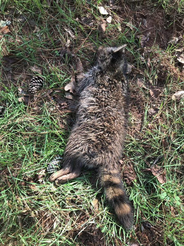 DD95FB57-04EA-4987-B9DF-DB85EAA7424A