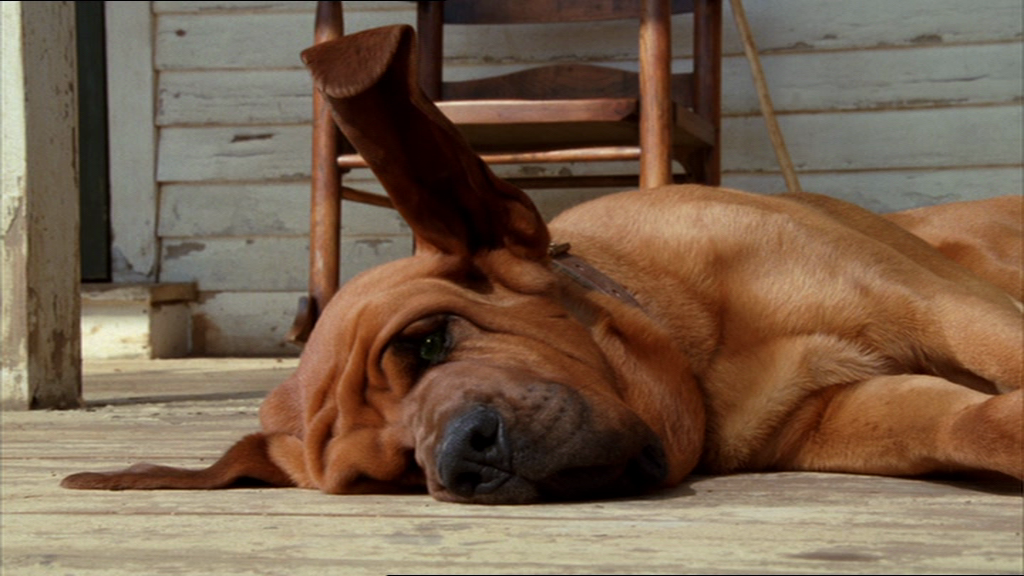 vlcsnap-2017-12-20-16h52m57s981