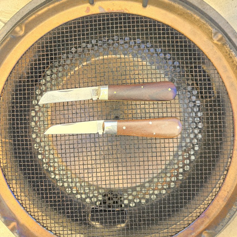 20250423-115931.jpg