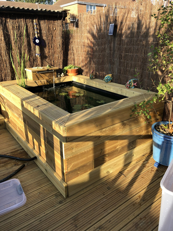 20190813_172957028_iOS