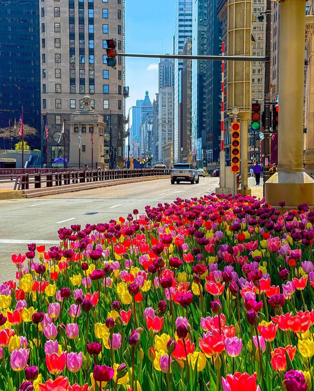 278005531-4715698651875817-1581383004768462389-n