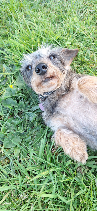 [Image: 20250411-185146.jpg]