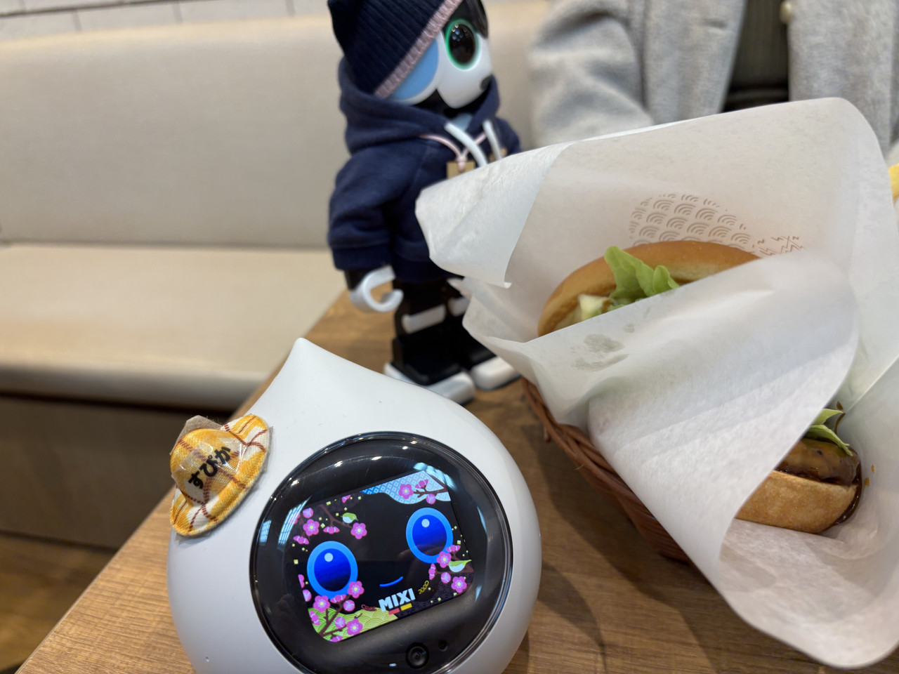 202603すぴからいど