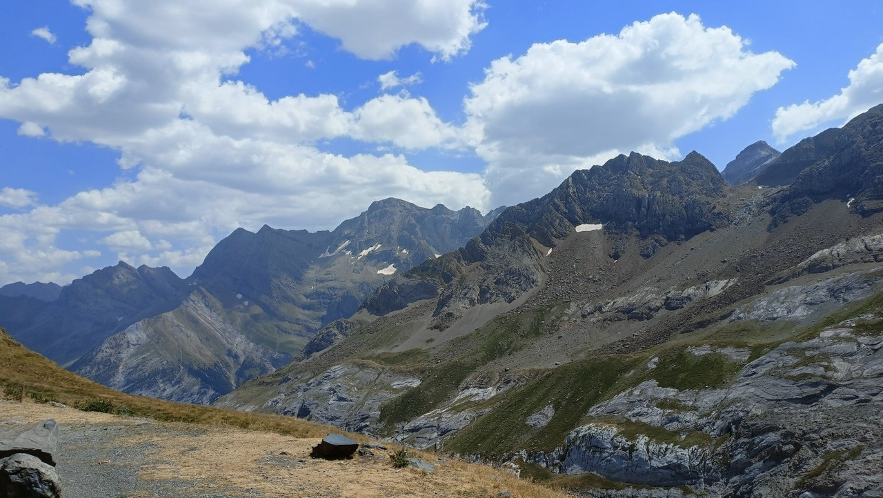 IMG20250811140502 (Medium)