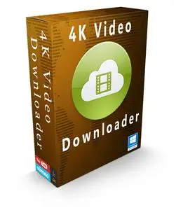 4K Video Downloader 4.31.0.0091 Multilingual