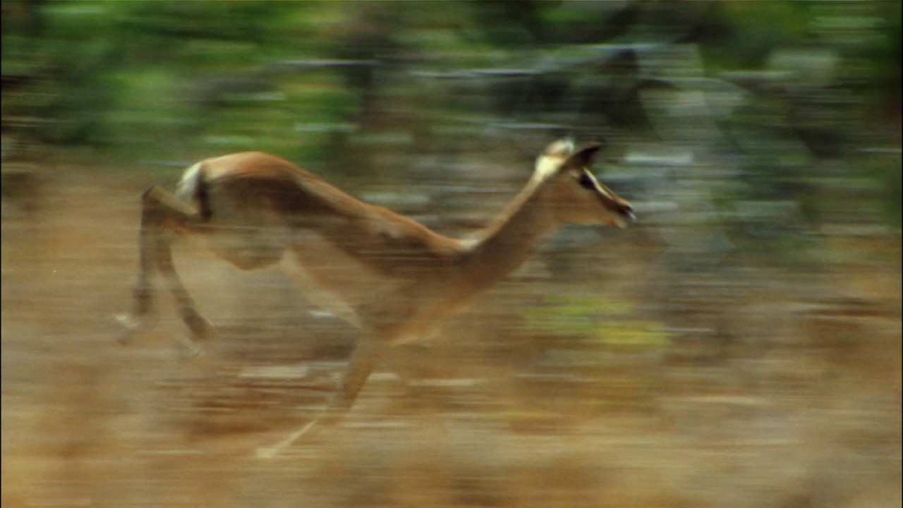 vlcsnap-2024-06-02-15h35m38s109