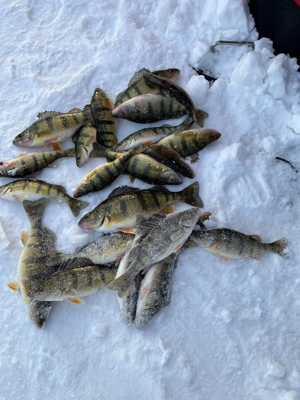 CC81C0B6-3D10-4B2F-8A00-7DBA5C90B4C8