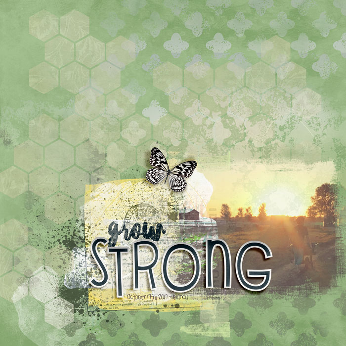 grow-Strong-Dalis-700.jpg