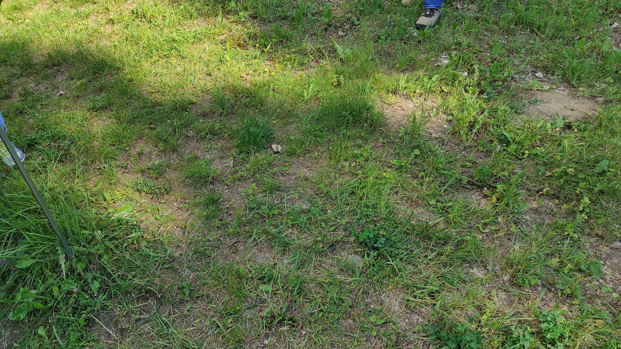 05.28 - IMG_20220617_155230 (Czesio1)