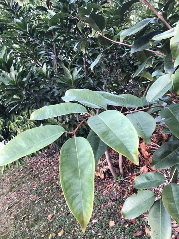 56EADC12-A372-40EA-8286-7133C84D344D