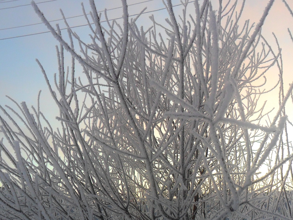 Добрянка 30.03.13 0