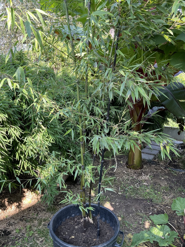 6004E0AF-598B-429E-B36D-C68701DA0791