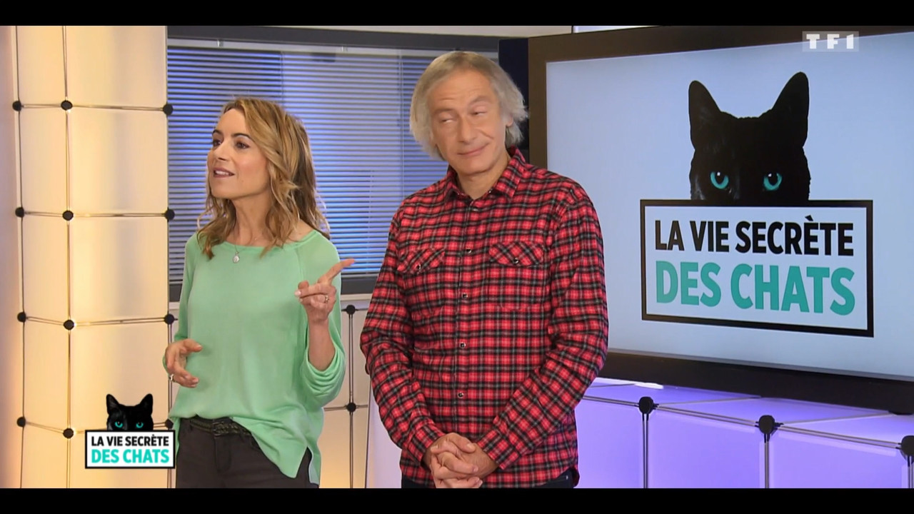 2020-05-30_10_35_TF1_La-vie-secrete-des-chats_Chats-et-sentiments-avec-Charlotte-Valan.mp4_snapshot_