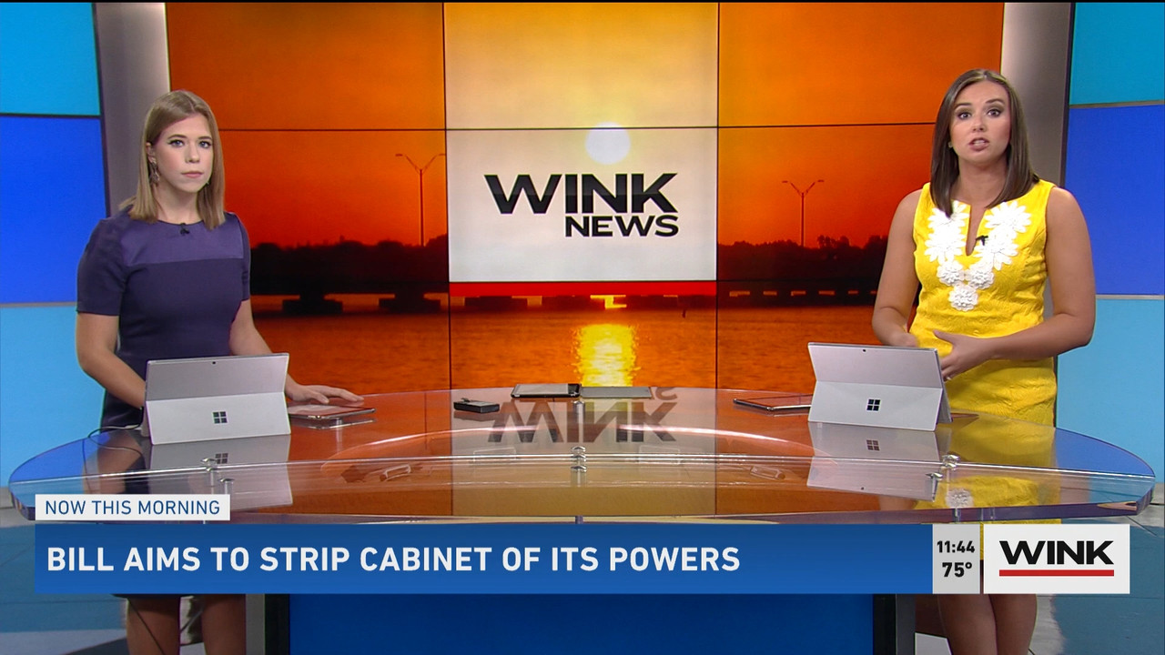 03.14 - 15.30.00 - WINK News @ 11 30AM. Local news, sports and weathe....ts_snapshot_15.32.433