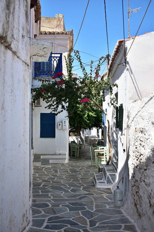 Δρυοπίδα (11)