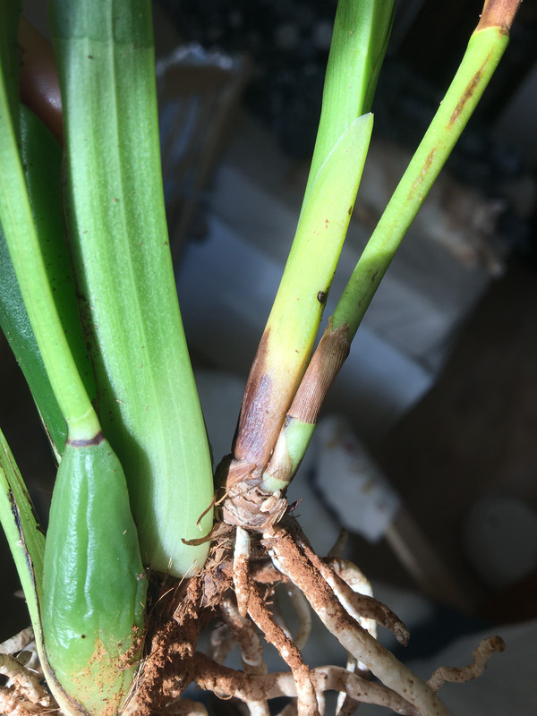 3C9C037C-41F8-4771-88C4-93A4E6255F4B