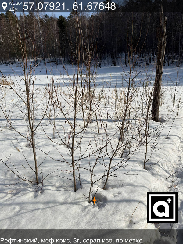 photo 12 2026 03 14 12 48 04