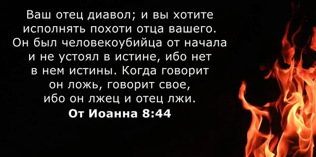https://i.postimg.cc/Z56hmw48/scale-1200.webp
