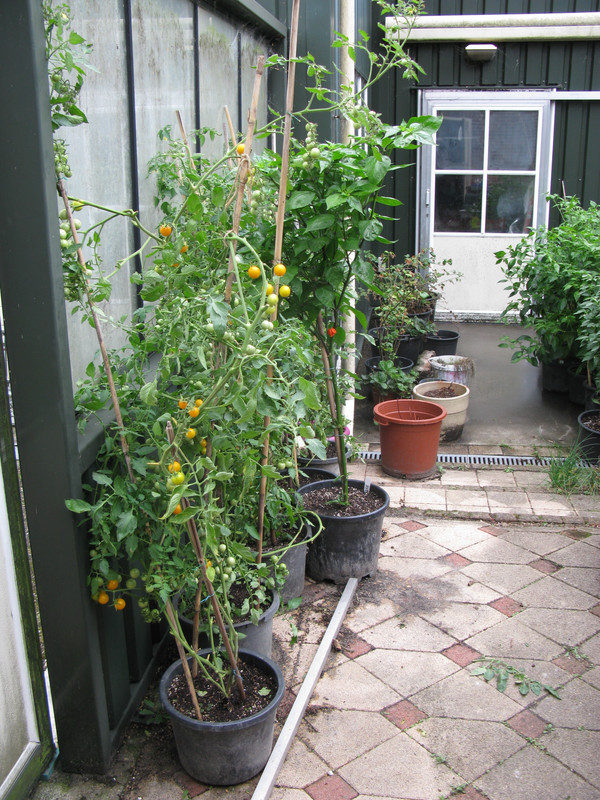 IMG-4553.jpg