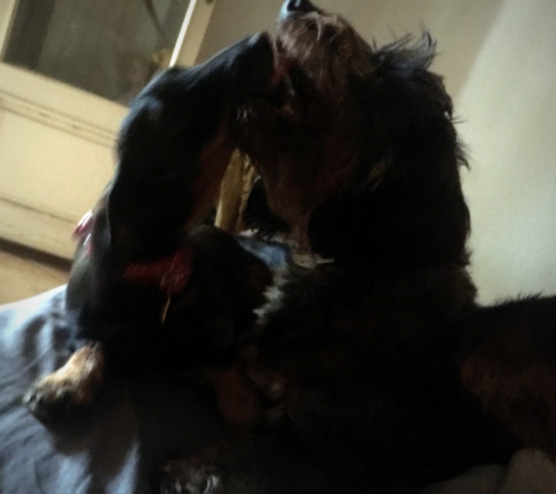 [Image: IMG-2757.jpg]