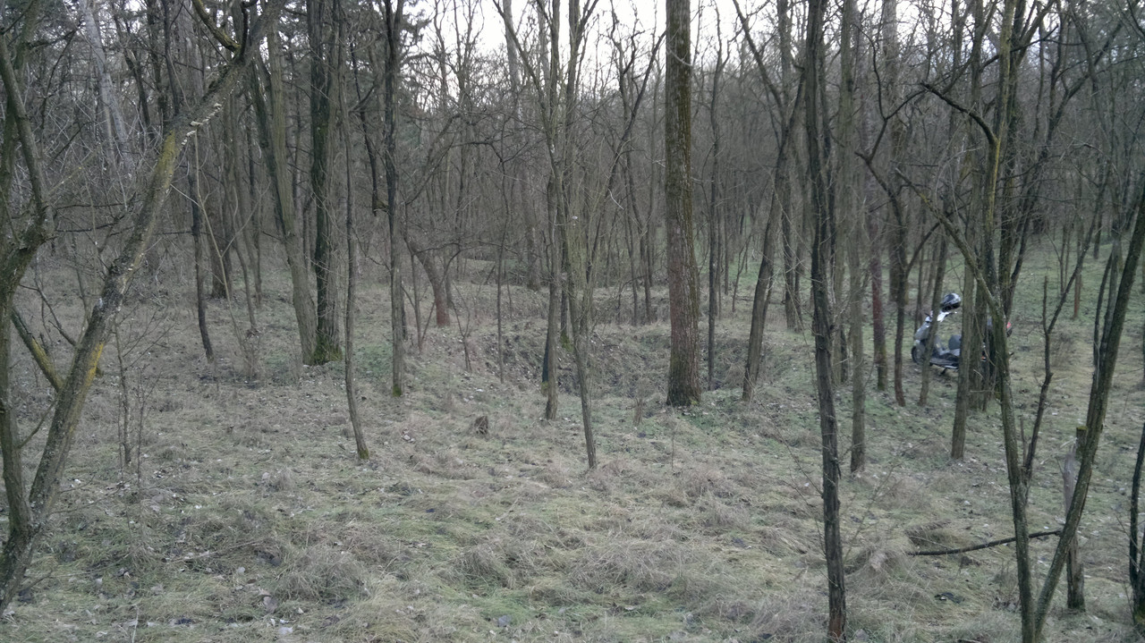 2016-01-14-3A Kálvária erdőben lévő bombatölcsérek,vagy inkább r