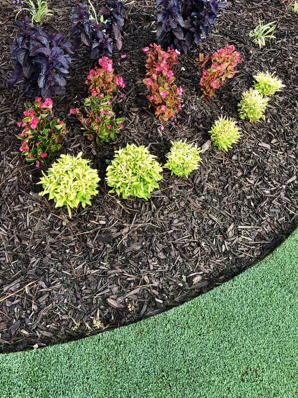 E76AEB2A-DD1A-4C74-A51A-94B30AE1C635