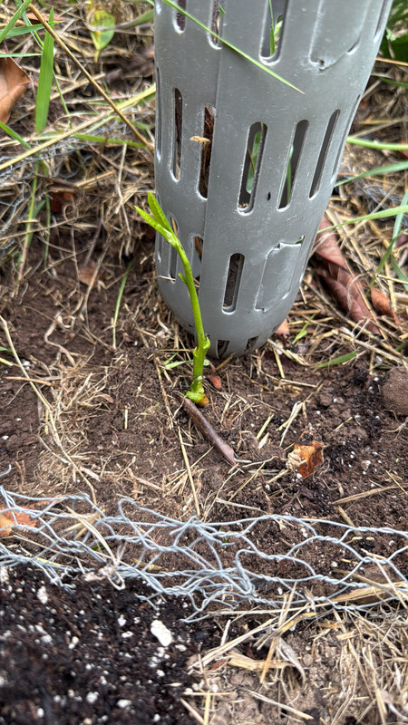 7BF95B71-CB31-481F-9E42-5540FC28A940