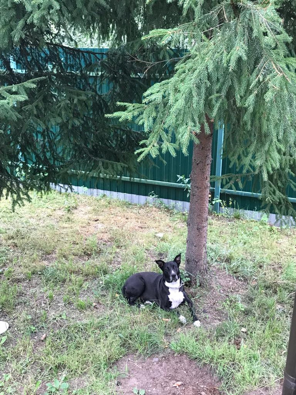 88A53412-C810-448C-B18B-280C62E5DBF5